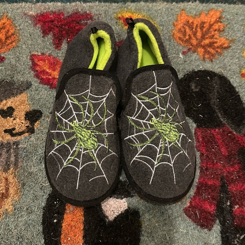 NWT Slippers